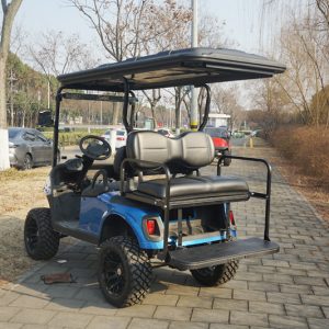 Genek Classic Rear Seat-Club Car (PREC/Tempo) Black Full Set with Armrest,Hardware,Cushions