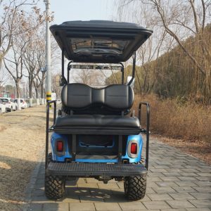 Genek Classic Rear Seat-EZGO (RXV) - Black Full Set with Armrest,Hardware,Cushions