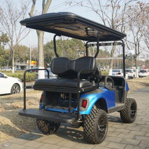 Genek Classic Rear Seat-EZGO (TXT) -Black Full Set with Armrest,Hardware,Cushions